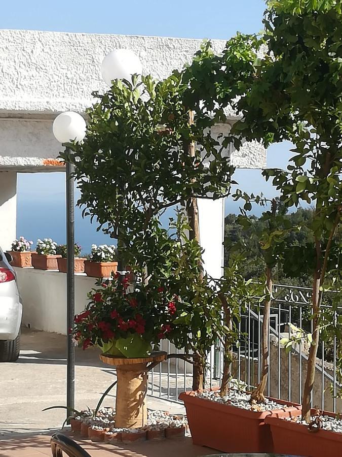 Il Covo Delle Civette * Vietri sul Mare