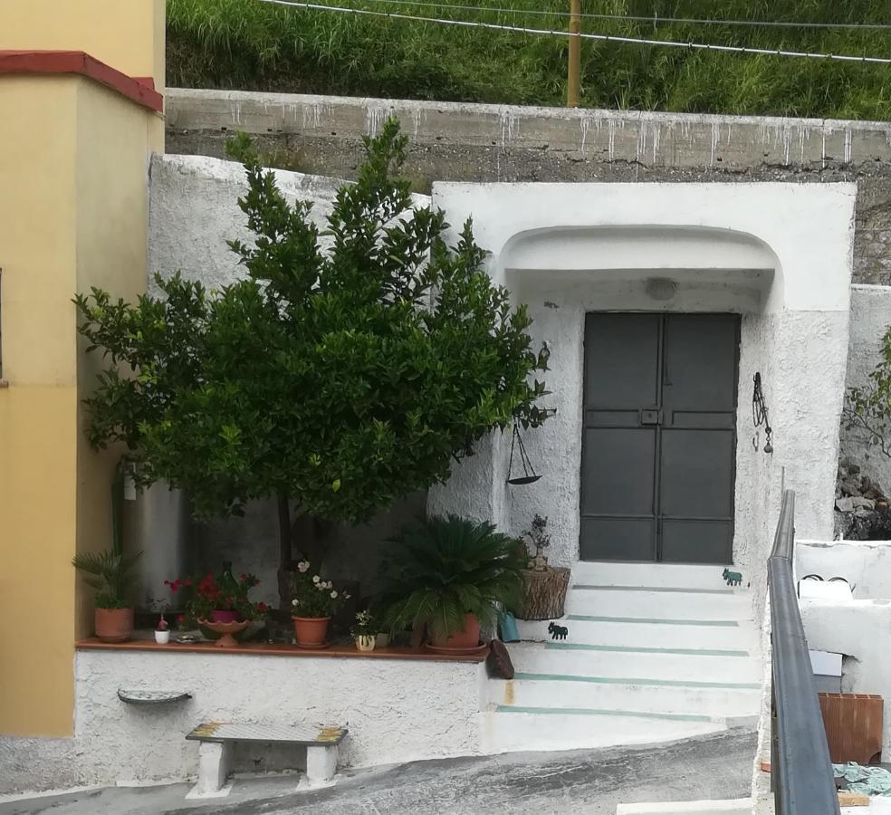Il Covo Delle Civette Bed & Breakfast