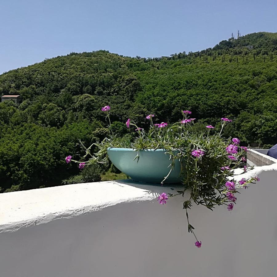 Il Covo Delle Civette Bed & Breakfast