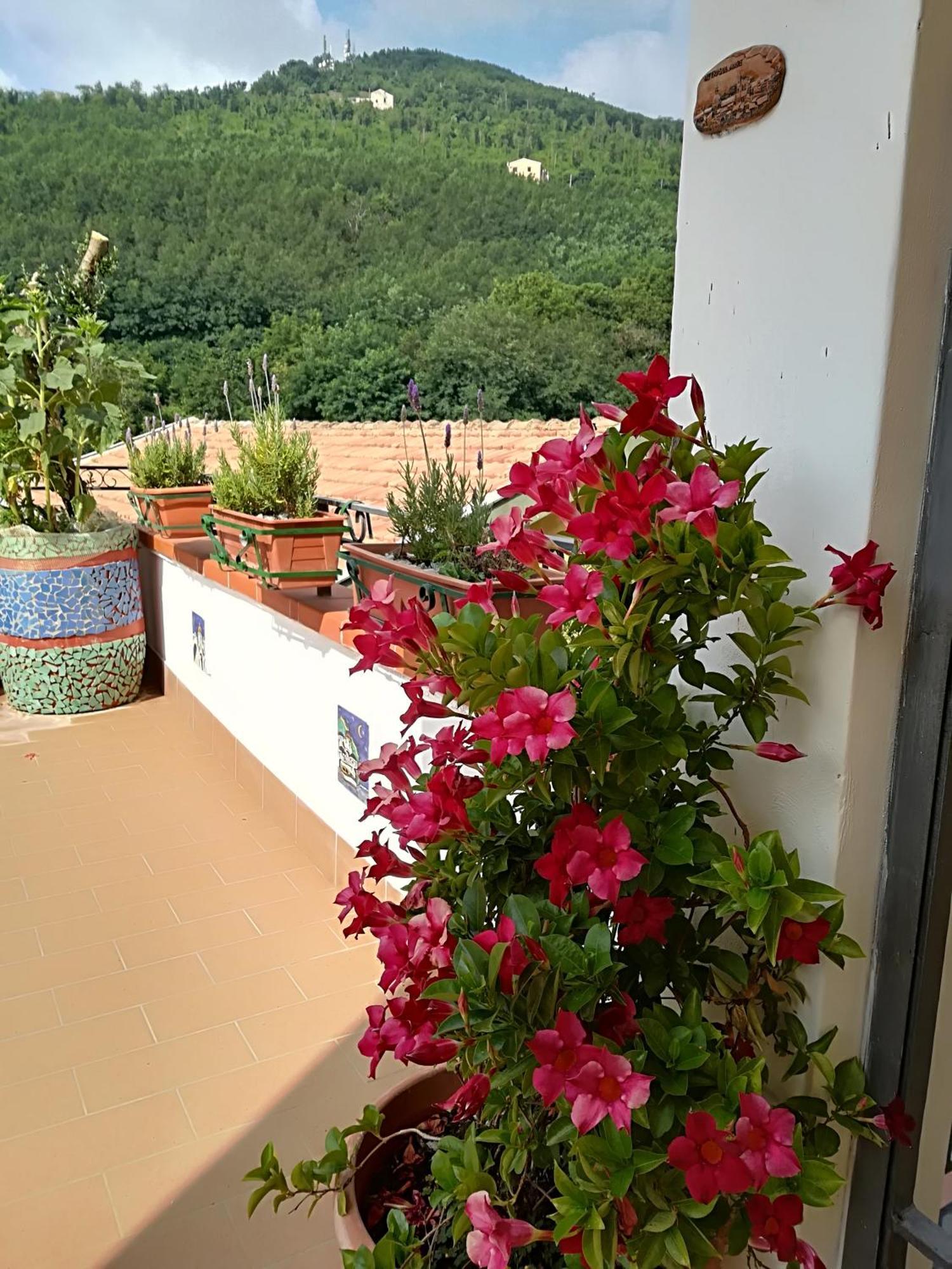 Il Covo Delle Civette