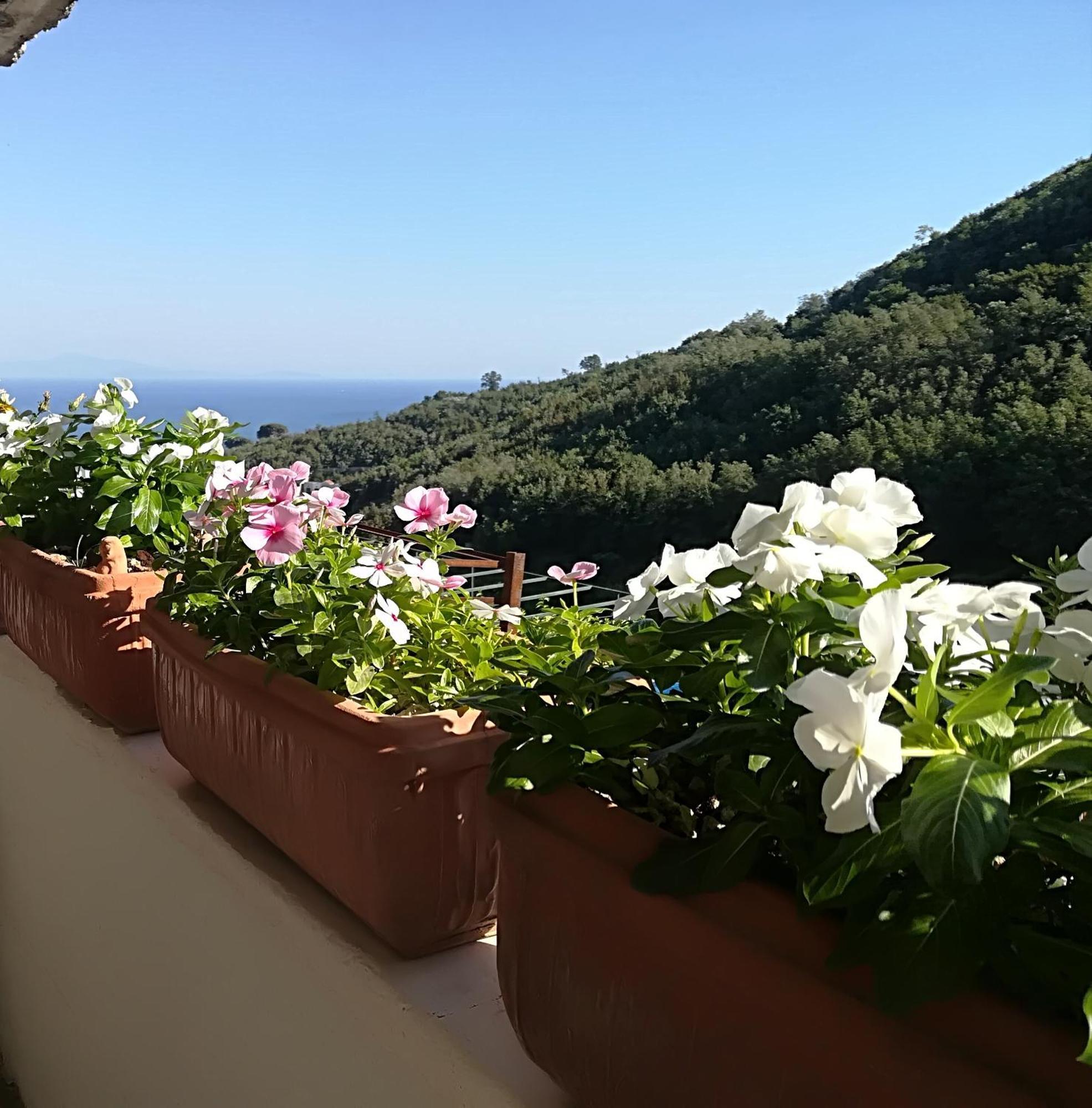 Il Covo Delle Civette Bed & Breakfast Vietri sul Mare