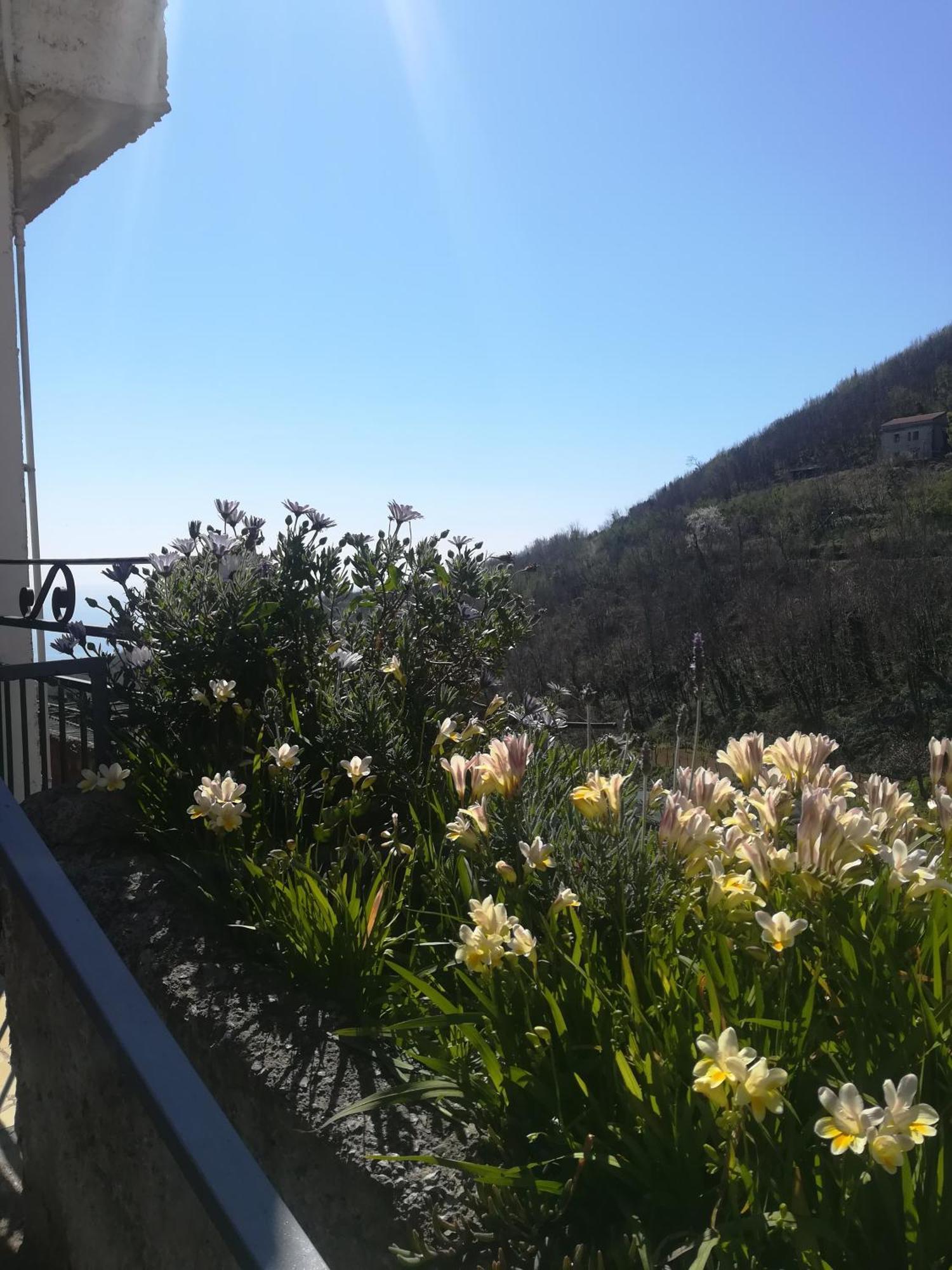 Il Covo Delle Civette Vietri sul Mare