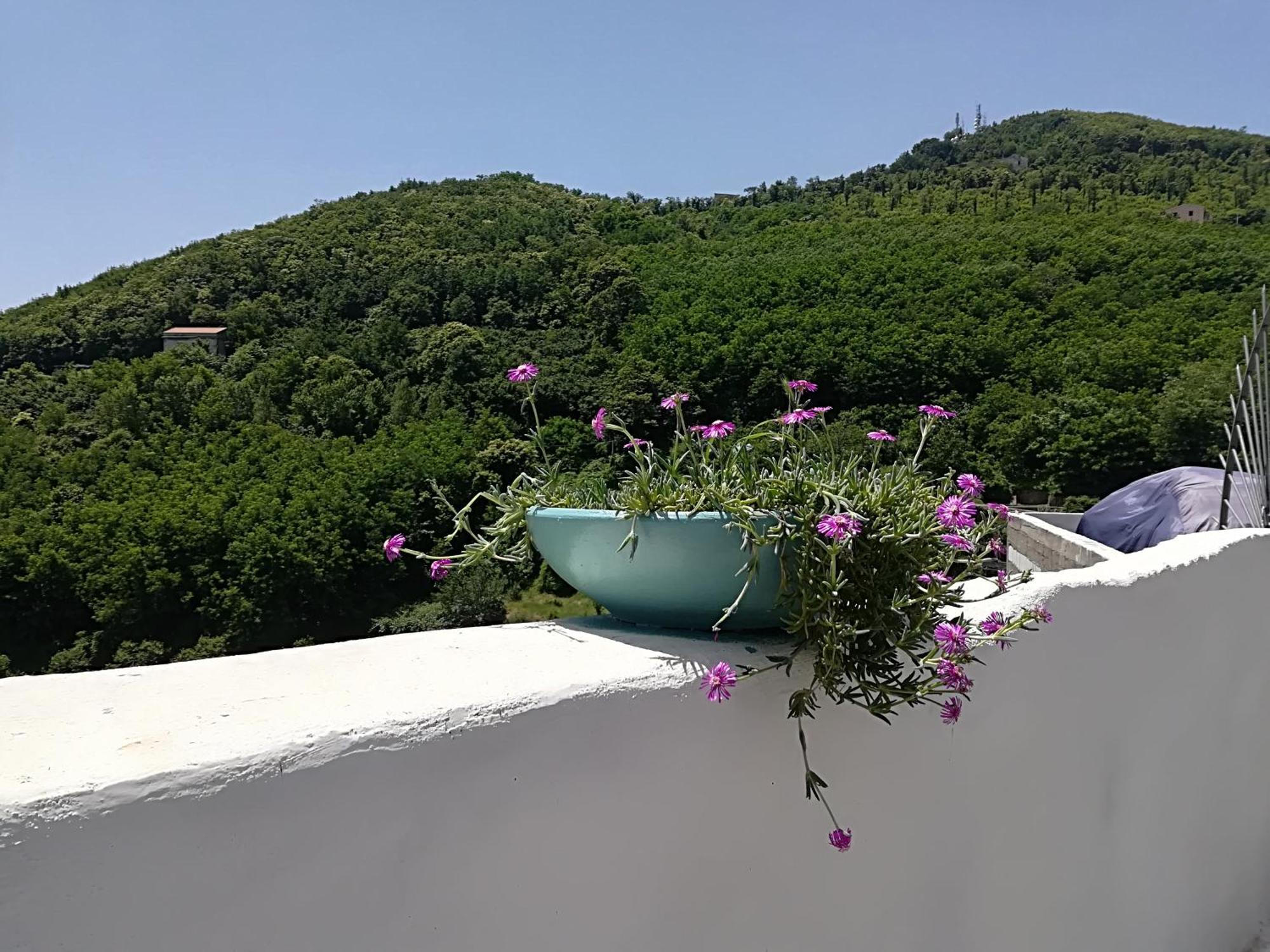 Bed & Breakfast Il Covo Delle Civette Vietri sul Mare